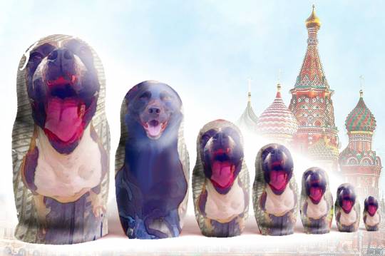 生き物ルーム第12