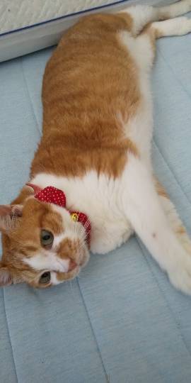 生き物ルーム第12