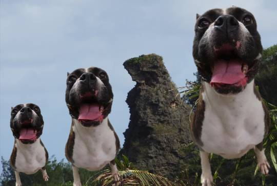 生き物ルーム第12