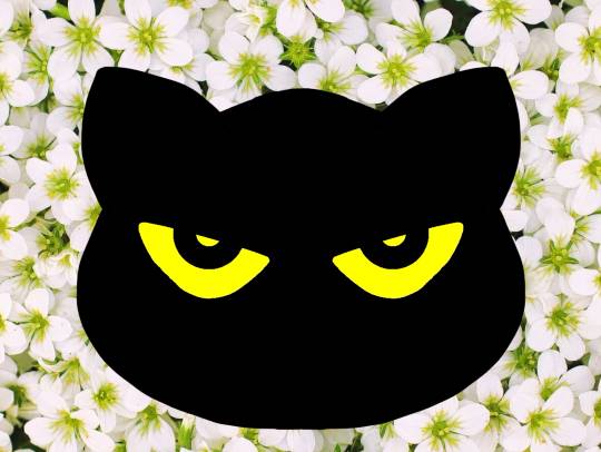 生き物ルーム第12