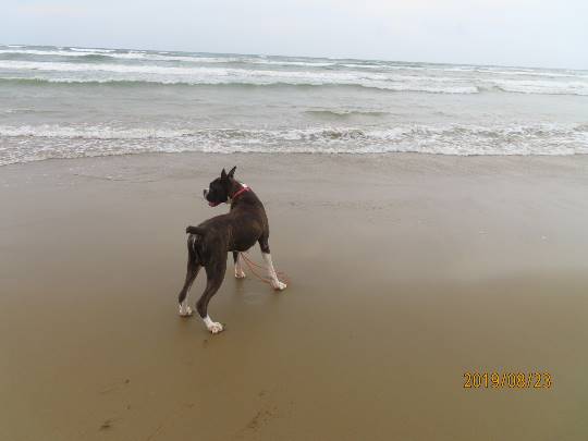 生き物ルーム第12