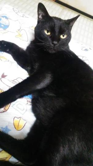 生き物ルーム第12