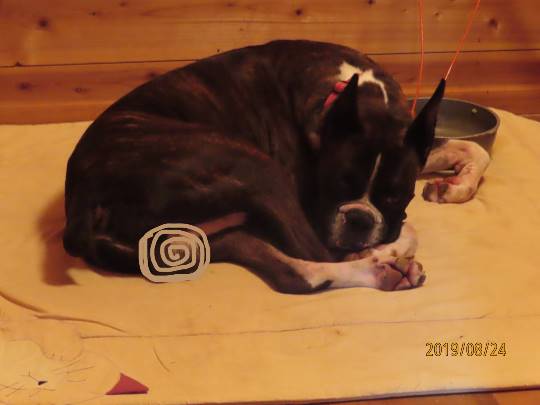 生き物ルーム第12