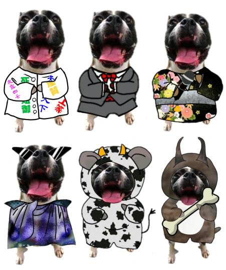 生き物ルーム第12