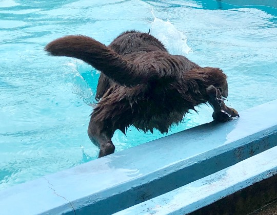 生き物ルーム第12