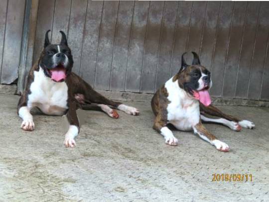 生き物ルーム第12