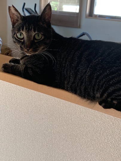 生き物ルーム第12