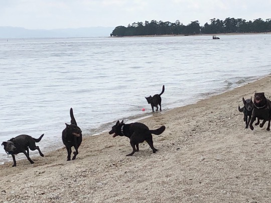 生き物ルーム第12