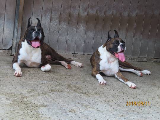 生き物ルーム第12