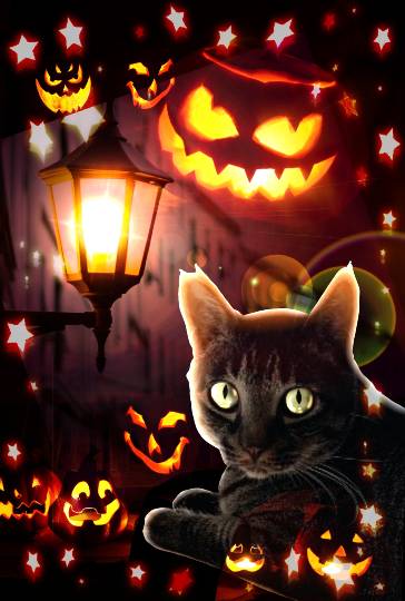 生き物ルーム第12