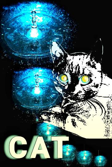 生き物ルーム第12