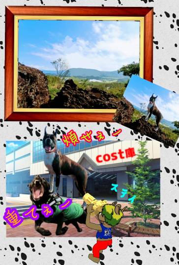 生き物ルーム第12