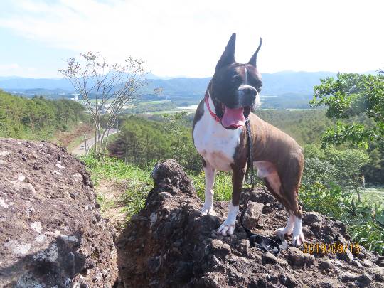 生き物ルーム第12