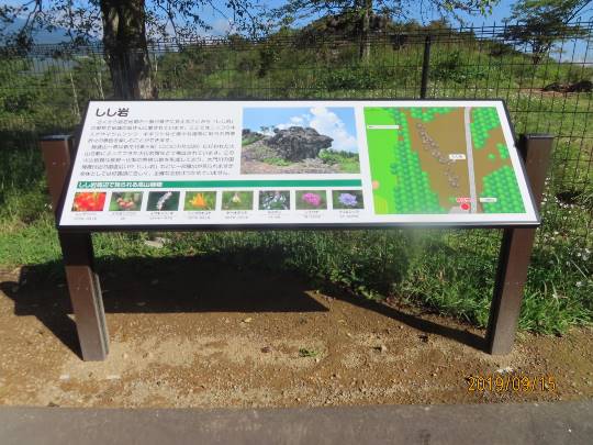 生き物ルーム第12