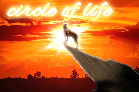 生き物ルーム第12