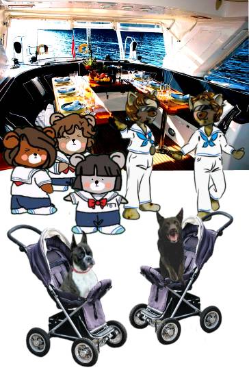 生き物ルーム第12