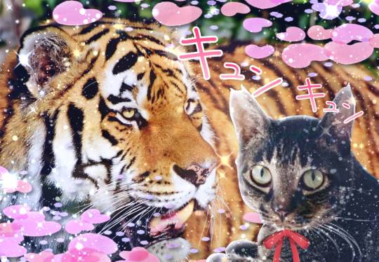 生き物ルーム第12