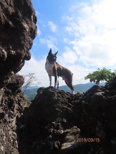 生き物ルーム第12