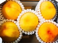 9月10日(火曜日)　射水倉庫店｜春雨スープを１個購入で１個プレゼントはメ...