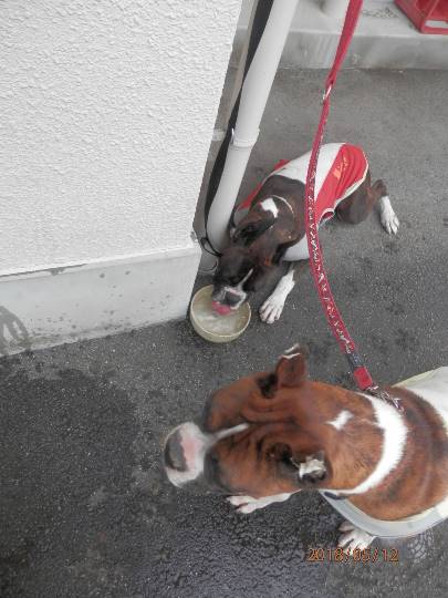 生き物ルーム第12