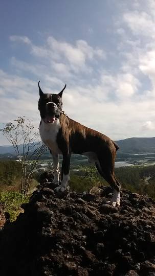 生き物ルーム第12