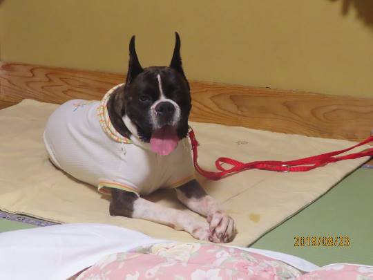 生き物ルーム第12