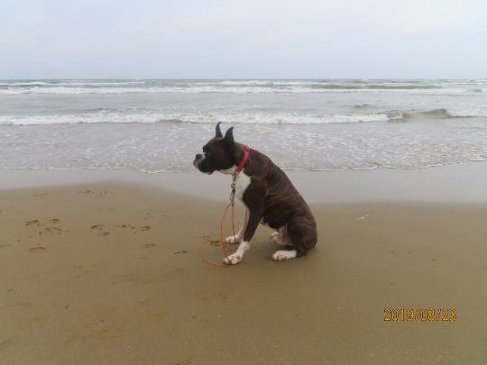 生き物ルーム第12