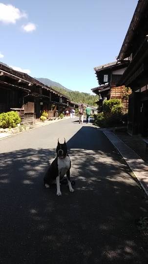 生き物ルーム第12