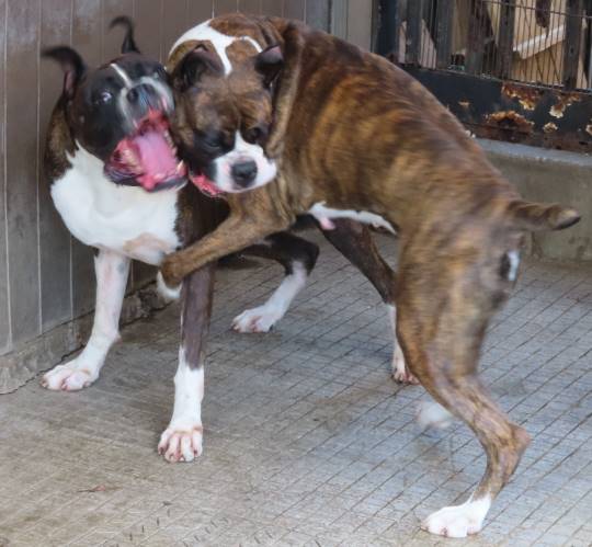 生き物ルーム第12