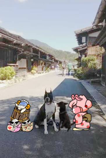 生き物ルーム第12