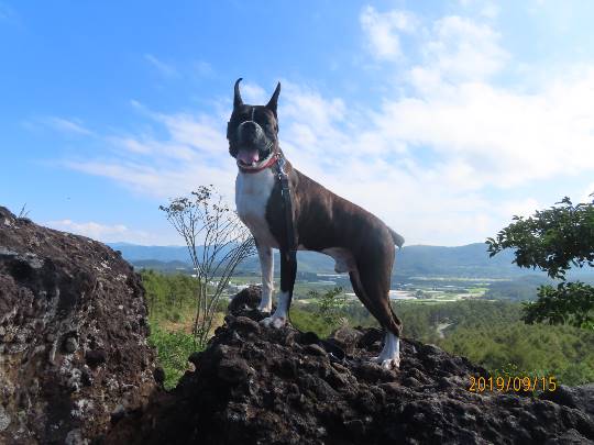 生き物ルーム第12