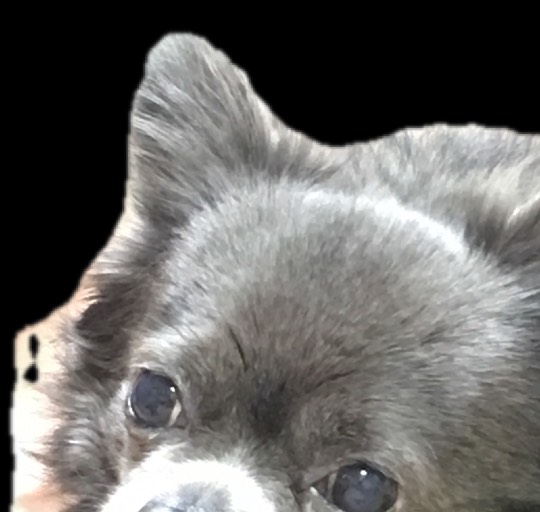 生き物ルーム第13