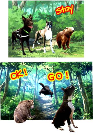 生き物ルーム第12