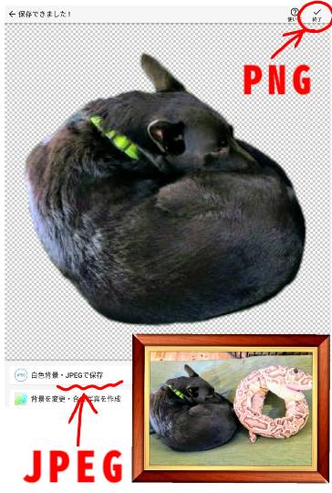 生き物ルーム第13