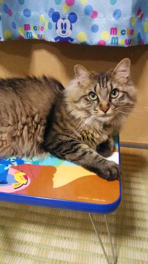 生き物ルーム第13