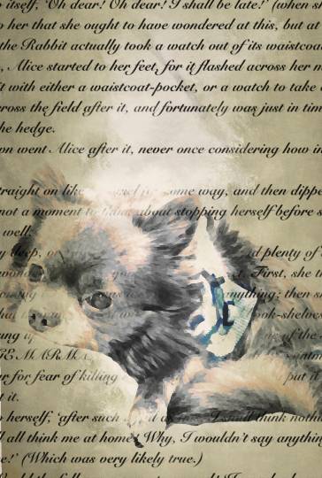 生き物ルーム第13