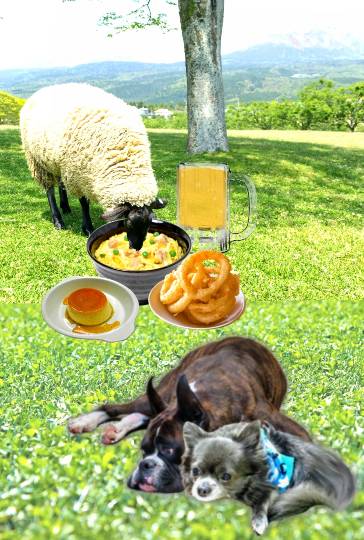 生き物ルーム第13