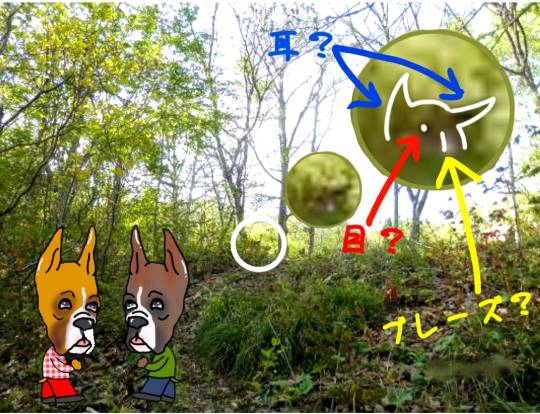 生き物ルーム第12