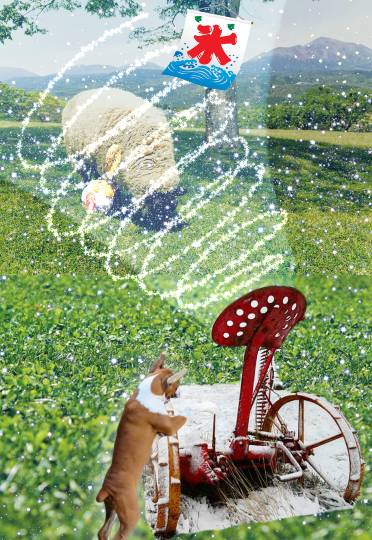 生き物ルーム第13