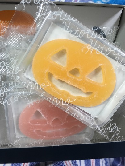 生き物ルーム第13