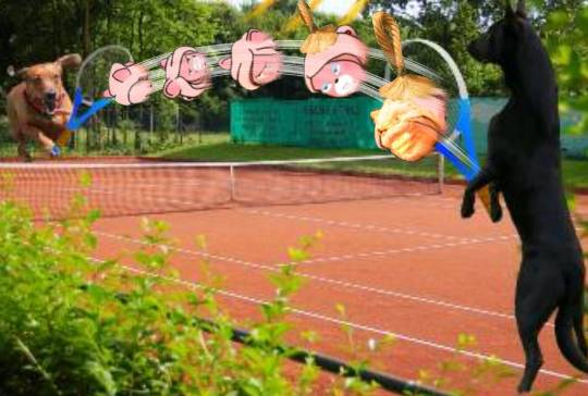 生き物ルーム第13