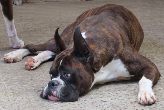 生き物ルーム第13