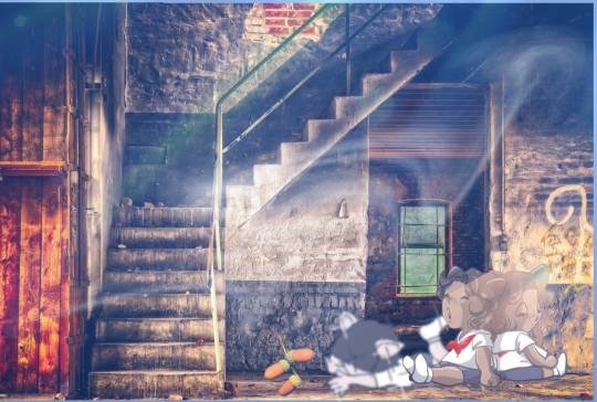 生き物ルーム第13