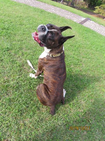 生き物ルーム第13