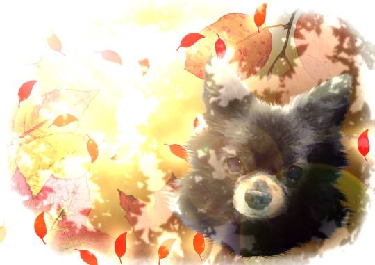 生き物ルーム第12