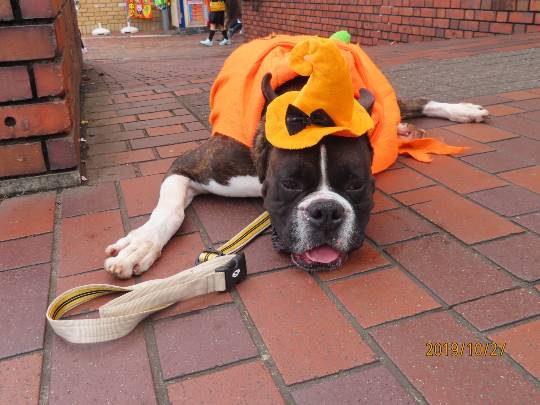 生き物ルーム第13