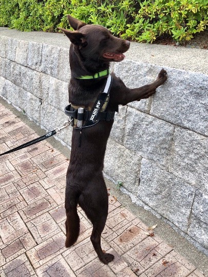 生き物ルーム第12