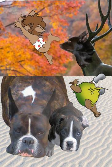 vol.15 愛調(オチョ)南関東(ミナカン)連合 暑くなりましたね~♪