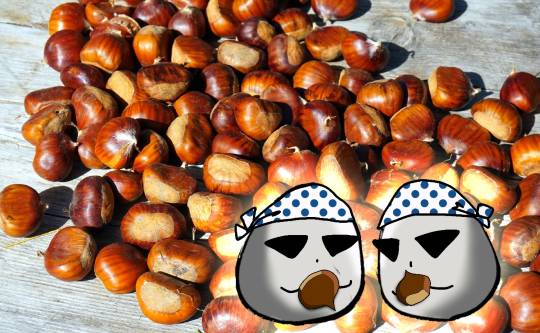 EGG'S CAFE Google先生!オデ達イイ子です!...タブン...