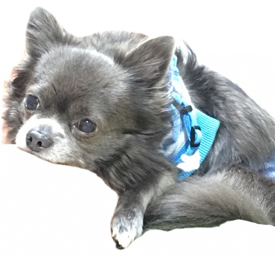 生き物ルーム第13